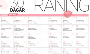 Träningsschema för 30 dagar med styrkeövningar. Följ ditt kom i form på 30 dagar schema dag för dag.