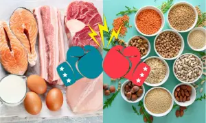 Kamp mellan animaliskt och vegetariskt protein. Fisk, kött, ägg och mjölk möter linser, nötter, bönor och frön.