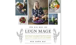 Sofia Antonsson presenterar vegetariska fodmap recept för en lugnare mage. Bilder visar färgglada bowls, en smoothie och färska grönsaker.