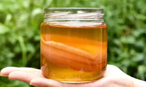 En hand håller en burk med kombucha, en dryck som många anser är nyttigt. Den gyllene vätskan och den synliga SCOBYn skapar en intressant textur.