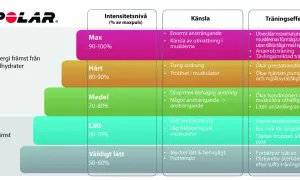 Polar-diagram som visar intensitetsnivåer (% av maxpuls) och deras effekter. Lär dig hur din bpm puls påverkar energiåtgång och träningseffekt.