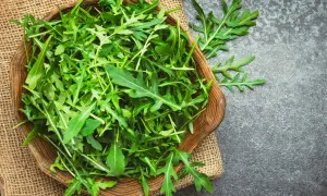 En skål med färsk ruccola, en påminnelse om att ruccola nyttigt och gott.