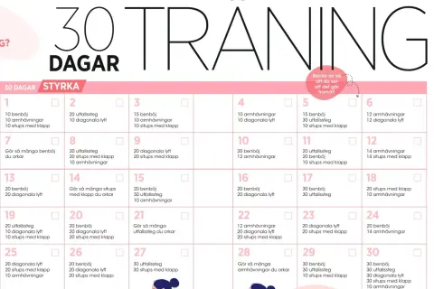 Träningsschema för 30 dagar med styrkeövningar. Följ ditt kom i form på 30 dagar schema dag för dag.