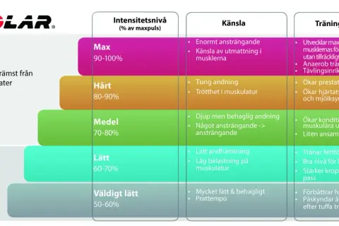 Polar-diagram som visar intensitetsnivåer (% av maxpuls) och deras effekter. Lär dig hur din bpm puls påverkar energiåtgång och träningseffekt.
