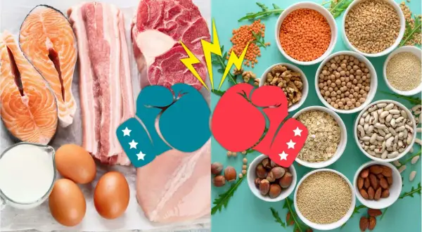Kamp mellan animaliskt och vegetariskt protein. Fisk, kött, ägg och mjölk möter linser, nötter, bönor och frön.