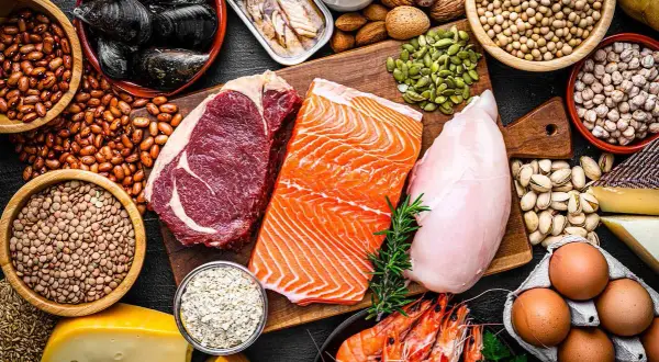 En variation av proteinrika livsmedel: biff, lax, kyckling, räkor, musslor, bönor, linser, nötter, frön, ägg och ost. Perfekt för att optimera ditt protein per kg.