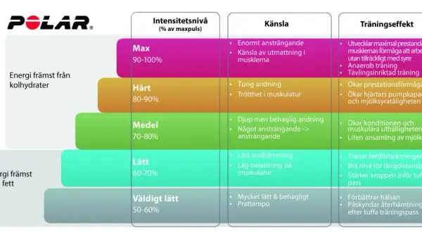 Polar-diagram som visar intensitetsnivåer (% av maxpuls) och deras effekter. Lär dig hur din bpm puls påverkar energiåtgång och träningseffekt.