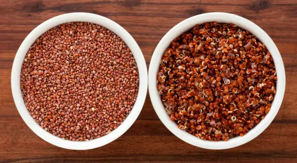 Två skålar med quinoa. Den vänstra innehåller orörd röd quinoa, den högra kokt. Båda är bra källor till komplexa kolhydrater.