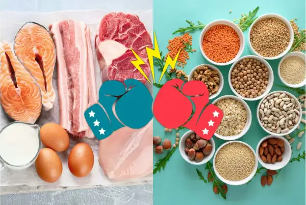 Kamp mellan animaliskt och vegetariskt protein. Fisk, kött, ägg och mjölk möter linser, nötter, bönor och frön.
