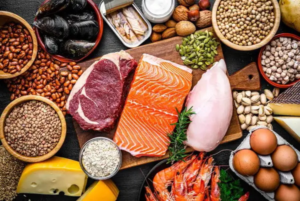 En variation av proteinrika livsmedel: biff, lax, kyckling, räkor, musslor, bönor, linser, nötter, frön, ägg och ost. Perfekt för att optimera ditt protein per kg.